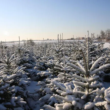 Wygodny Murowany Domek- Nowy Vakantiehuis