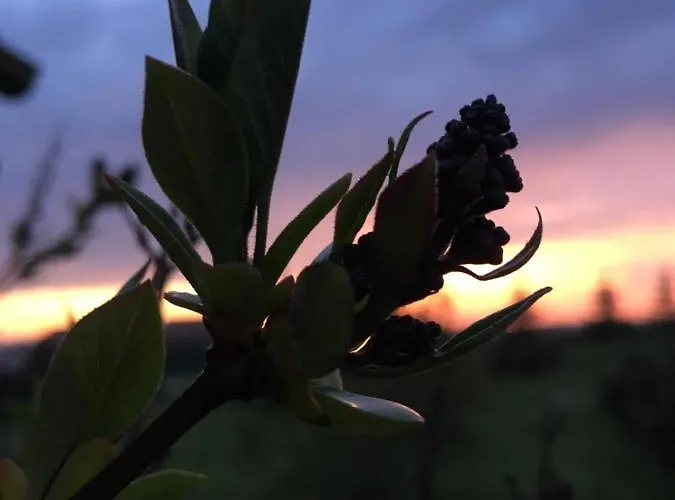 Feriehus Wygodny Murowany Domek- Nowy Dąbki