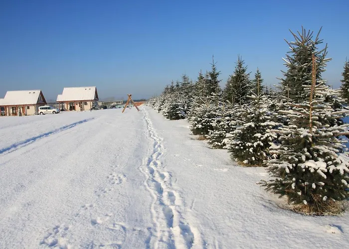 Feriehus Wygodny Murowany Domek- Nowy